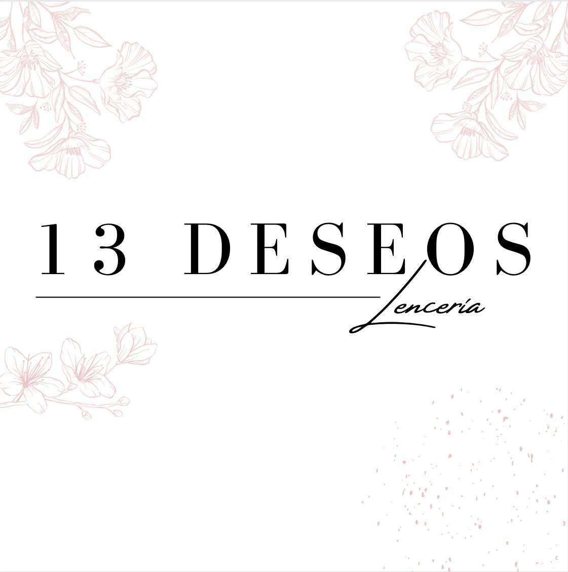 Logo 13 deseos